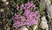 20160828-011-PasCoche