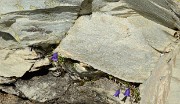 20160828-014-PasCoche