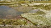 20160828-028-PasCoche