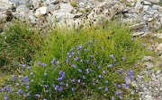 20160828-030-PasCoche