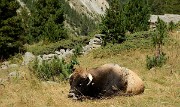 20160828-033-PasCoche