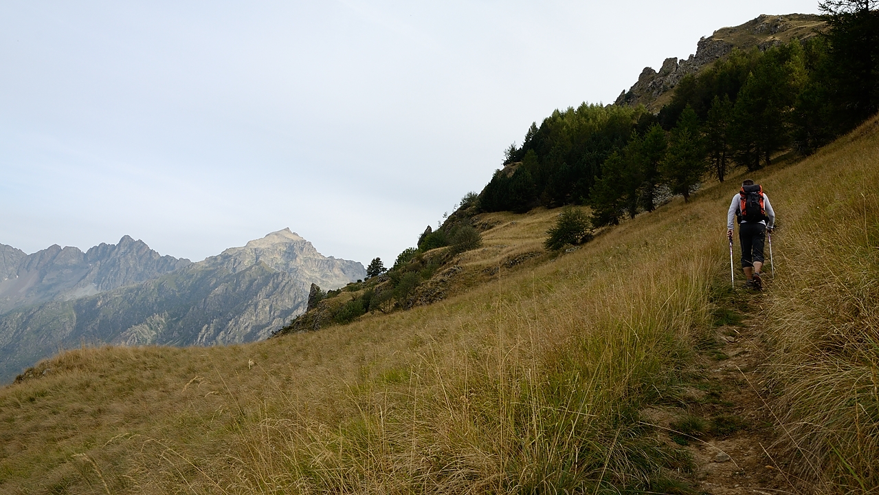 20160903-001-ColMorges.jpg - Dans la montee au Chapeau juste apres la sortie de la foret ; au fond le Pic Turbat