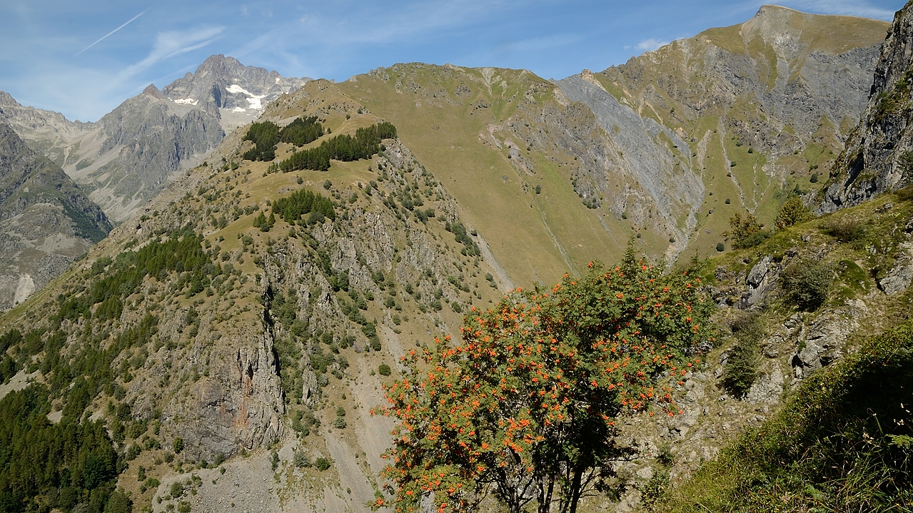 20160903-030-ColMorges.jpg - Dans la descente bien raide sous les ruines des Pres de Lauplat : en face le chemin de la montée