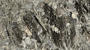 20160903-014-ColMorges
