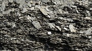 20160903-017-ColMorges