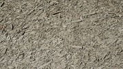 20160903-022-ColMorges