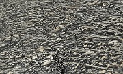 20160903-035-ColMorges