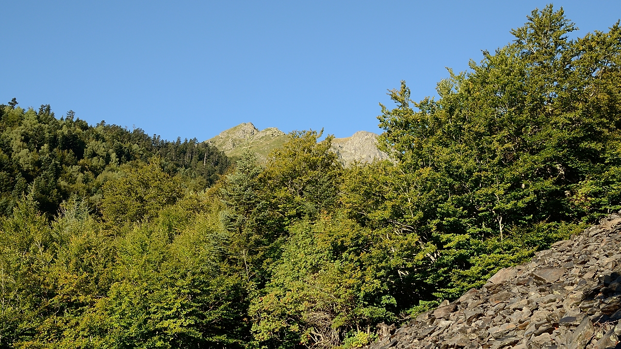 20160911-002-Coiro.jpg - Le matin apres l'orage sous un ciel magnifiquement clair ... dans la forêt de hêtre sous la Cabane de l'Infernet