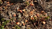 20160910-019-LacGary