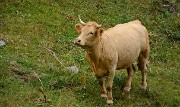 20160910-027-LacGary