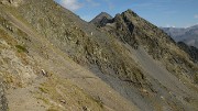 20160911-019-Coiro