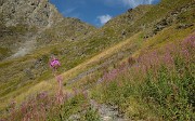 20160911-024-Coiro