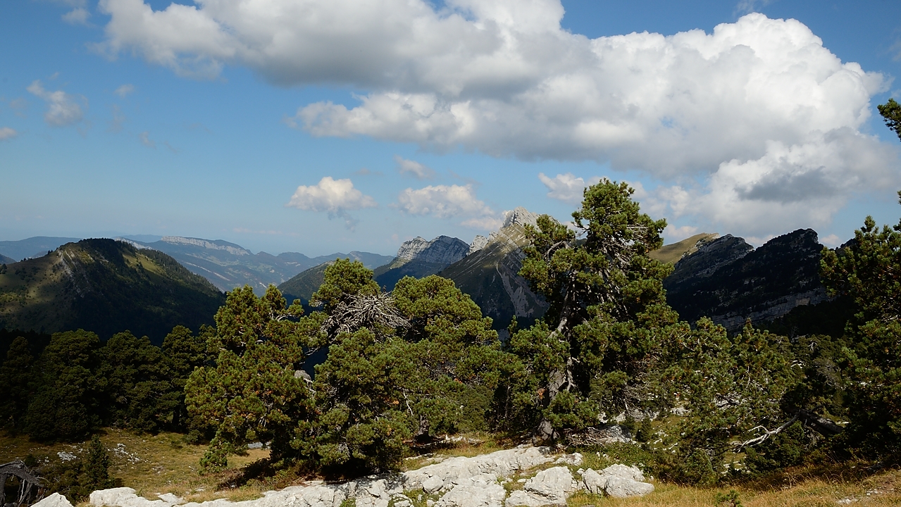 20160925-026-DentCrolles.jpg -  ...