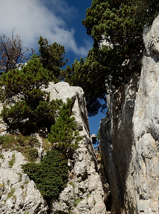 20160925-029-DentCrolles.jpg -  ...