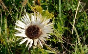 20160925-032-DentCrolles