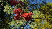 20160925-038-DentCrolles