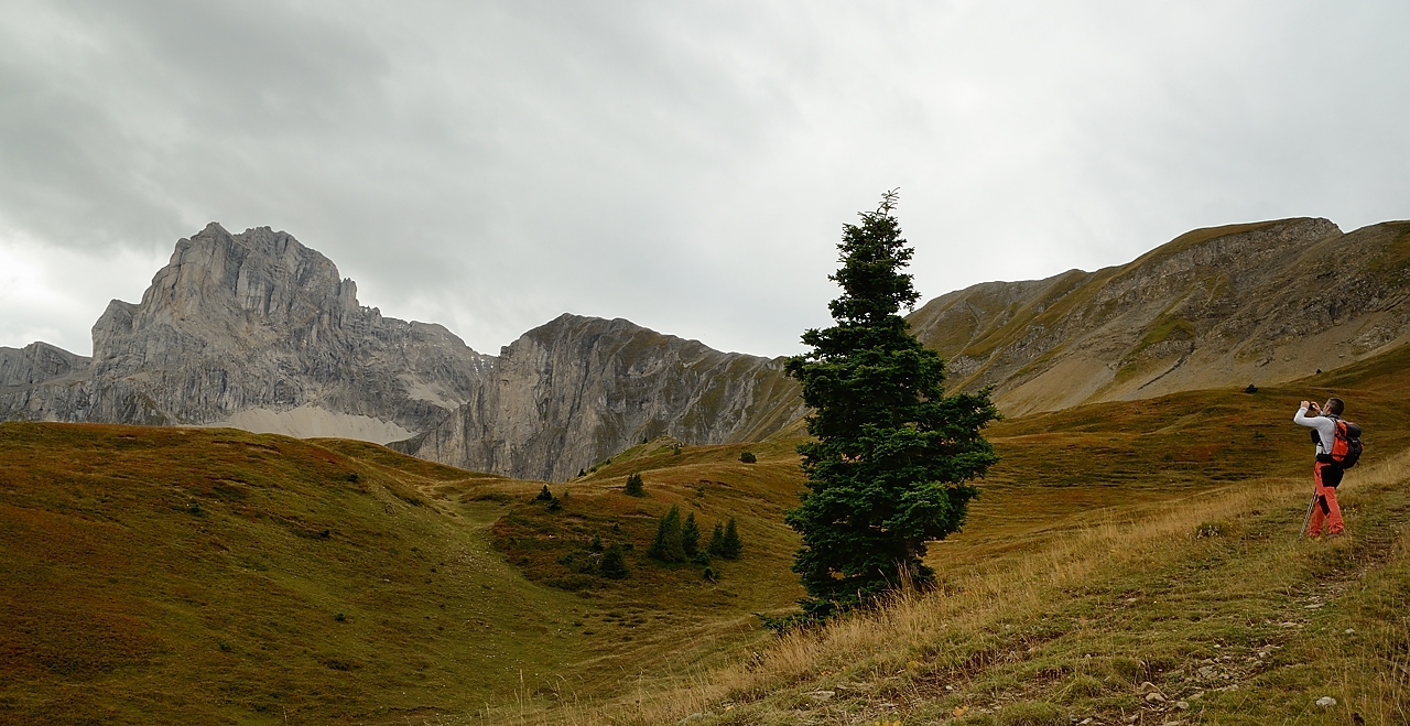 20161002-010-sousObiou.jpg - La Tete de l'Obiou derriere un tres beau sapin juste avant l'arrivee au chalet