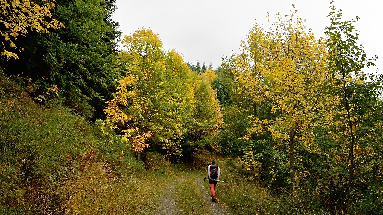 20161002-030-sousObiou.jpg - presque au meme endroit, c'est le debut de l'automne