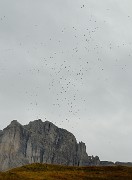 20161002-012-sousObiou