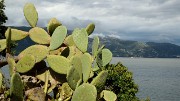 20161010-006-ISOLA