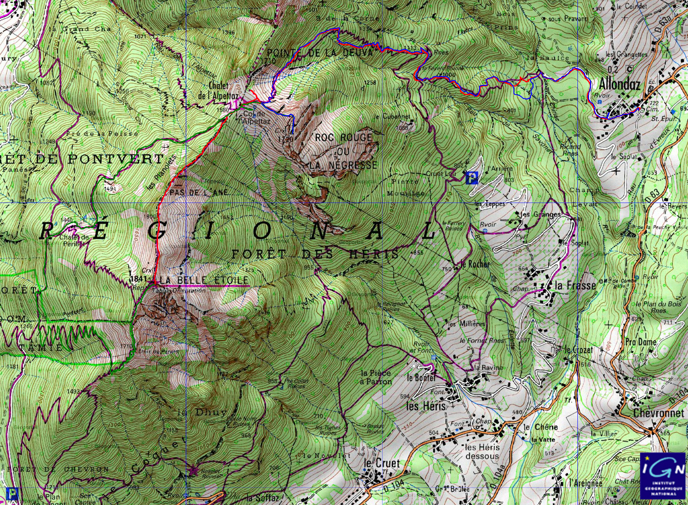 20161015-000-BelleEtoile-trace.jpg - La trace: en rouge la montee de Allondaz (non loin d'Albertville) a cette Belle Etoile (copieuse), puis en vert fonce (difficile a voir) la descente cote sud, puis ouest et la remontee ver le col de l'Alpettaz et le Roc Rouge, et finalement la redescente direct ... on a voulu prendre le chemin qui longe la face sud de ce sommet mais on ne l'a jamais trouve