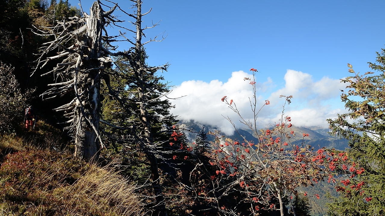 20161015-007-BelleEtoile.jpg - Dans la traversee de l'arete ...