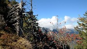 20161015-007-BelleEtoile
