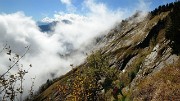 20161015-012-BelleEtoile