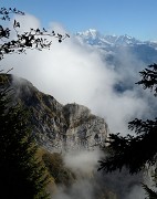 20161015-014-BelleEtoile