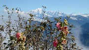 20161015-018-BelleEtoile