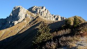 20161022-006-Tourrnette