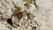 20161022-020-Tourrnette