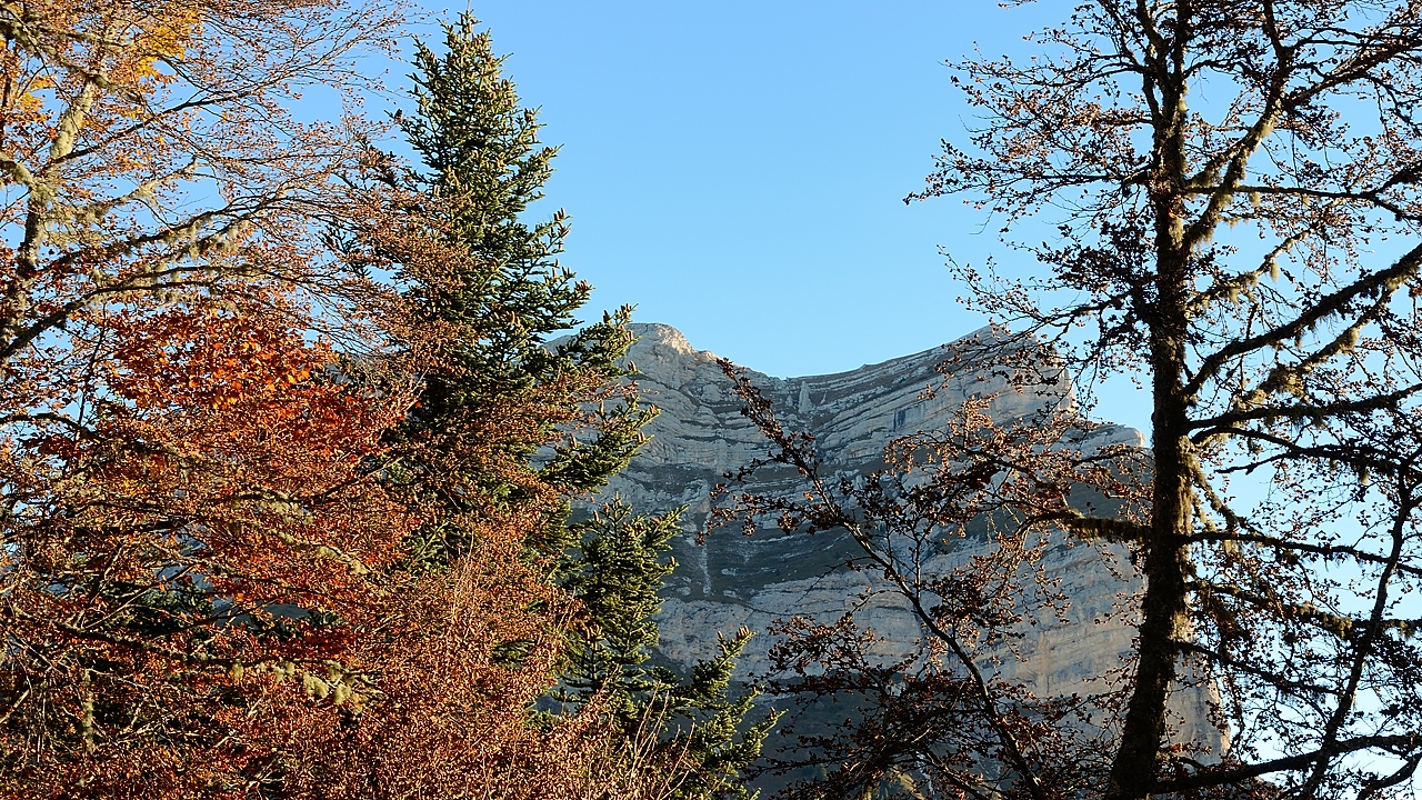 20161029-006-BecCharvet.jpg - La Dent de Crolles s'apercoit a travers les arbres