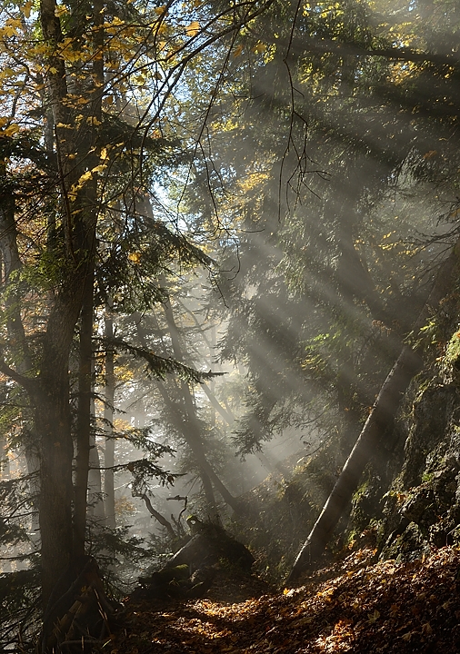 20161029-013-BecCharvet.jpg - Au Col de la Faita : c'est la fin des rejouissances, on replonge dans la puree de pois
