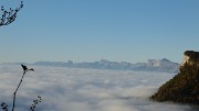 20161029-004-BecCharvet