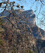 20161029-010-BecCharvet
