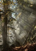 20161029-013-BecCharvet