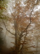 20161029-015-BecCharvet