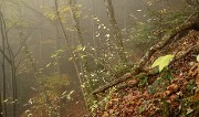 20161029-016-BecCharvet