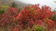 20161029-019-BecCharvet