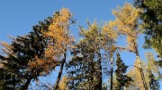 20161101-001-Taillefer