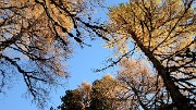 20161101-004-Taillefer