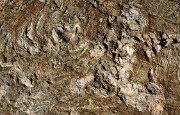 20161101-025-Taillefer