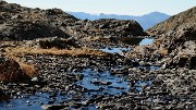 20161101-027-Taillefer