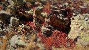 20161101-028-Taillefer