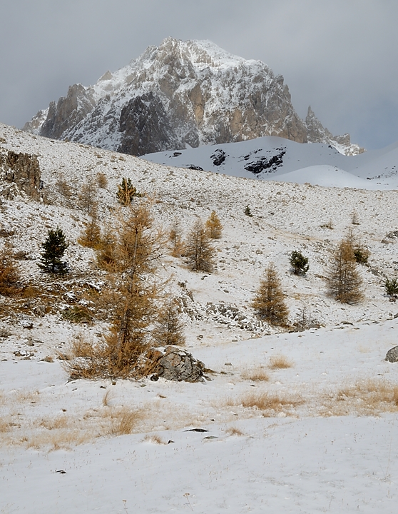20161111-017-ColLarche.jpg - Au debut de la traversée  sous  la Tête Dure (avec vue sur une antecime de la Tête de Sautron p.e.)
