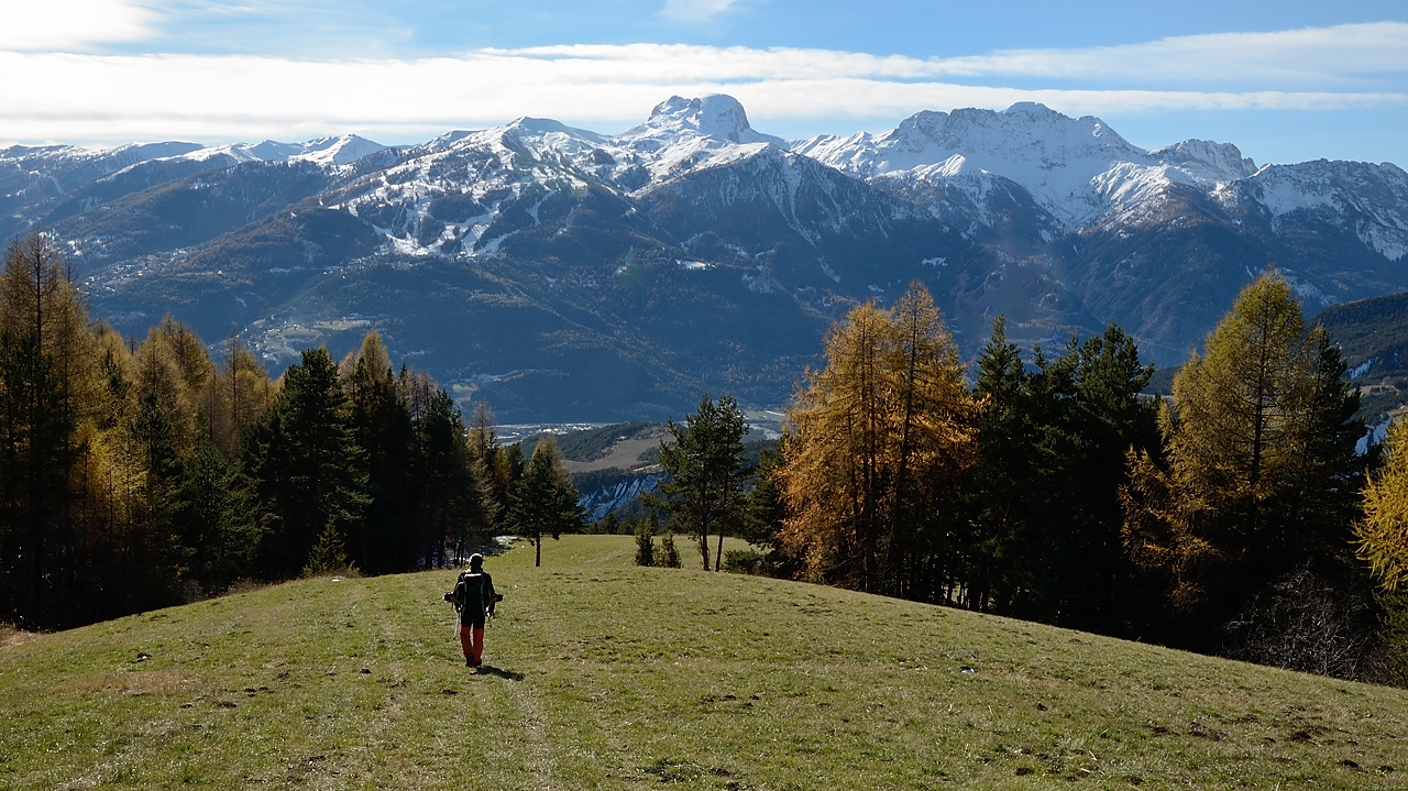 20161112-019-SoleilBoeuf.jpg - Descente a travers prés de la Haute Chalanche (en suivant des traces de vehicules assez récentes)