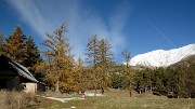 20161112-006-SoleilBoeuf