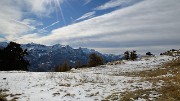 20161112-011-SoleilBoeuf