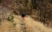 20161112-015-SoleilBoeuf